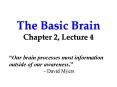 The Basic Brain Chapter 2, Lecture 4 PowerPoint PPT Presentation