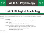 Unit%203:%20Biological%20Psychology