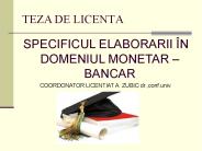 TEZA DE LICENTA
