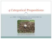 4.1 THE COMPONENTS OF CATEGORICAL PROPOSITIONS