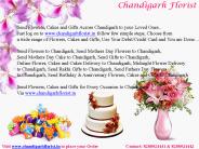 Send Flowers to Chandigarh