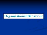 Organisational Behaviour