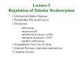 Lecture-5 Regulation of Tubular Reabsorption PowerPoint PPT Presentation