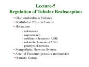 Lecture-5 Regulation of Tubular Reabsorption