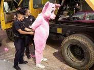 Animal Rights and Ethics