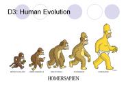 D3: Human Evolution