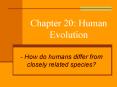 Chapter 20: Human Evolution PowerPoint PPT Presentation