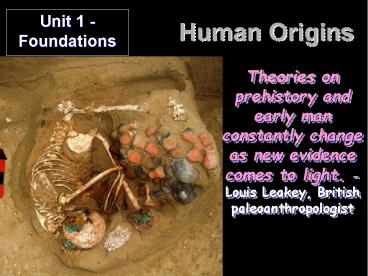 Human Origins