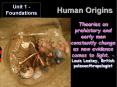 Human Origins PowerPoint PPT Presentation