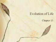 Evolution of Life