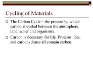 Cycling of Materials