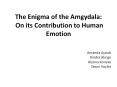 The Enigma of the Amgydala: PowerPoint PPT Presentation