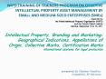 WIPO TRAINING OF TRAINERS PROGRAM ON EFFECTIVE INTELLECTUAL PROPERTY ASSET MANAGEMENT BY SMALL AND MEDIUM-SIZED ENTERPRISES (SMEs) organized by the World Intellectual Property Organization (WIPO) and the Turkish Patent Institute Istanbul, September 13 PowerPoint PPT Presentation