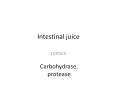 Intestinal juice PowerPoint PPT Presentation