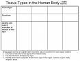 Tissue Types in the Human Body PowerPoint PPT Presentation