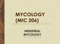 INDUSTRIAL MYCOLOGY PowerPoint PPT Presentation