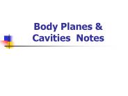 Body%20Planes%20