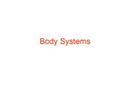 Body Systems