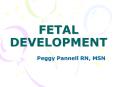 FETAL%20DEVELOPMENT PowerPoint PPT Presentation