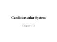 Cardiovascular System PowerPoint PPT Presentation