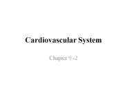 Cardiovascular System