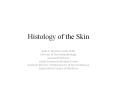 Histology of the Skin PowerPoint PPT Presentation