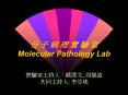 ? ? ? ? ? ? ? Molecular Pathology Lab PowerPoint PPT Presentation