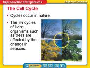 Cycles occur in nature.