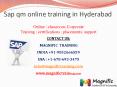 sap qm online training in bangalore PowerPoint PPT Presentation