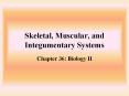 Skeletal,%20Muscular,%20and%20Integumentary%20Systems PowerPoint PPT Presentation