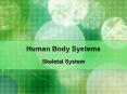 Human Body Systems PowerPoint PPT Presentation