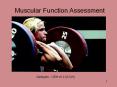 Exercise%20and%20Aging%20Skeletal%20Muscle PowerPoint PPT Presentation