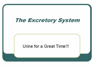 The Excretory System
