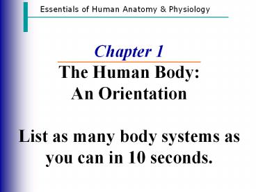Chapter 1 The Human Body: An Orientation List as many body systems as you can in 10 seconds.