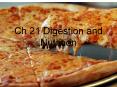 Ch 21 Digestion and Nutrition PowerPoint PPT Presentation