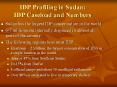 IDP Profiling in Sudan: IDP Caseload and Numbers PowerPoint PPT Presentation