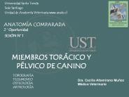 Dra.%20Cecilia%20Altamirano%20Mu
