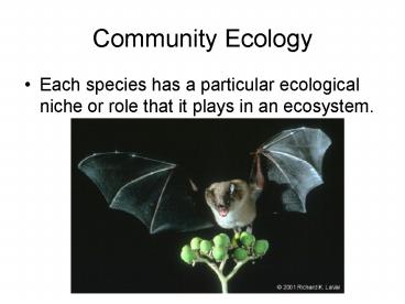 Community Ecology