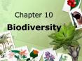 Biodiversity PowerPoint PPT Presentation