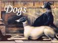 Dogs PowerPoint PPT Presentation