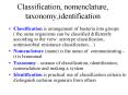 Classification, nomenclature, taxonomy,identification PowerPoint PPT Presentation