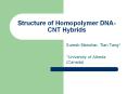 Structure of Homopolymer DNA-CNT Hybrids PowerPoint PPT Presentation