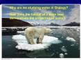 How does the habitat of a polar bear demonstrate the properties of water? PowerPoint PPT Presentation