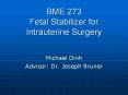 BME%20273%20Fetal%20Stabilizer%20for%20Intrauterine%20Surgery PowerPoint PPT Presentation