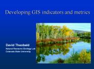 Developing GIS indicators and metrics