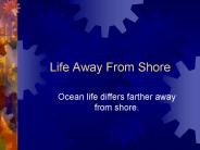 Life Away From Shore