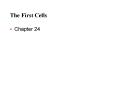The First Cells PowerPoint PPT Presentation
