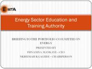 BRIEFING TO THE PORTFOLIO COMMITTEE ON ENERGY