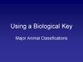Using a Biological Key PowerPoint PPT Presentation