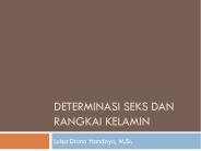 DETERMINASI SEKS dan rangkai kelamin